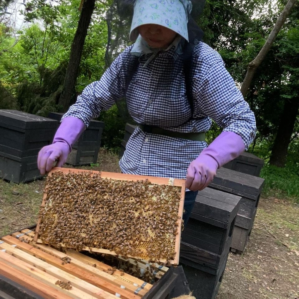 谷口さん