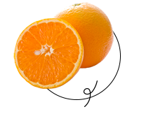「バレンシアオレンジ」
