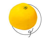 「ニューサマーオレンジ」